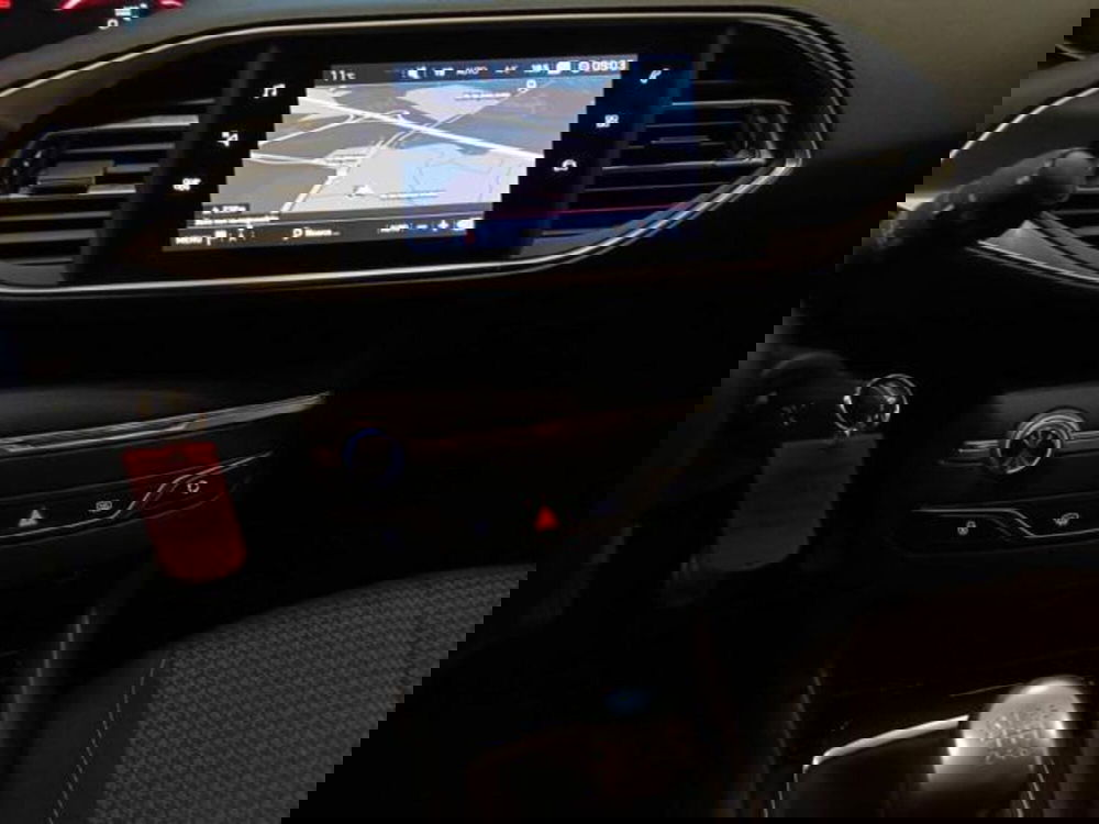 Peugeot 308 SW usata a Varese (15)