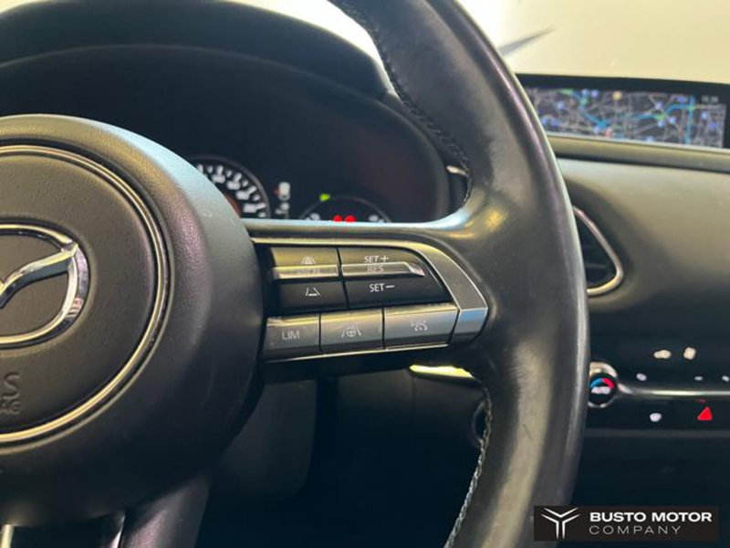 Mazda CX-30 usata a Varese (13)