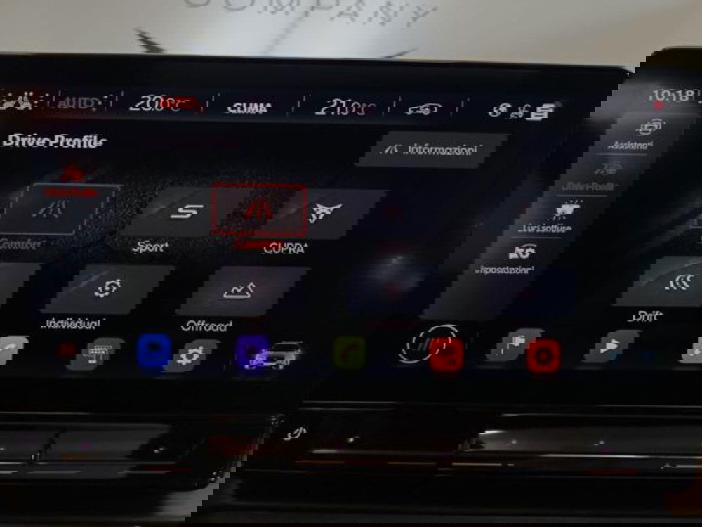 Cupra Formentor usata a Varese (16)