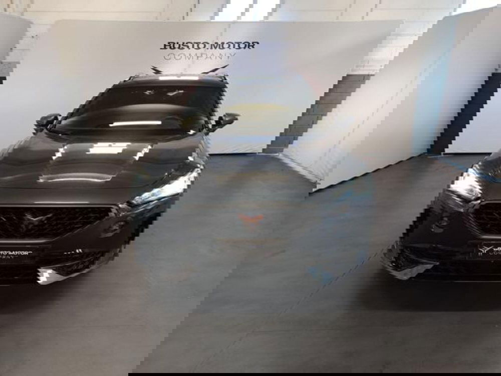 Cupra Formentor usata a Varese (2)