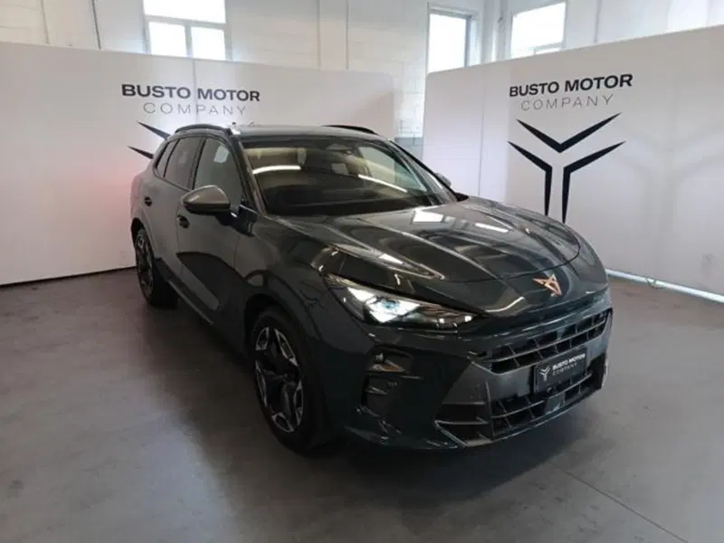 Cupra Terramar usata a Varese