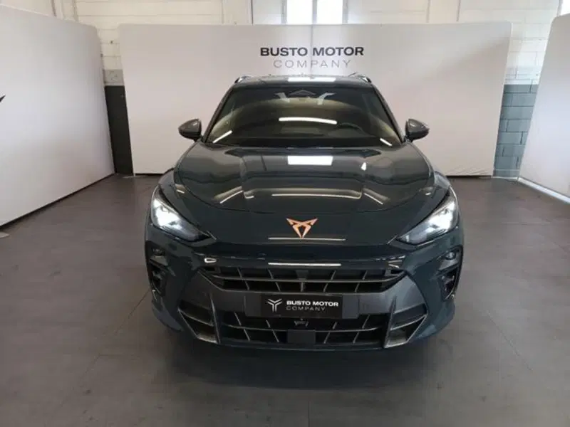 Cupra Terramar usata a Varese (2)