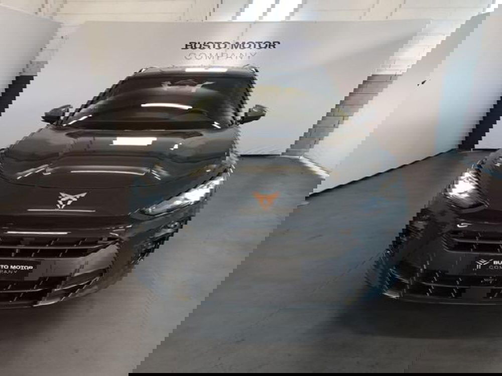 Cupra Terramar usata a Varese (2)