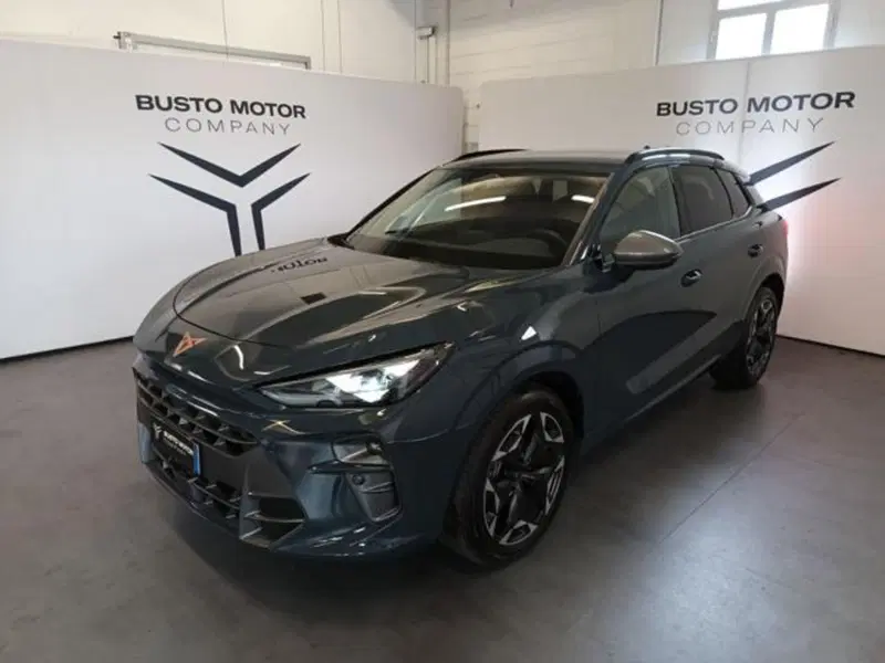 Cupra Terramar usata a Varese (3)