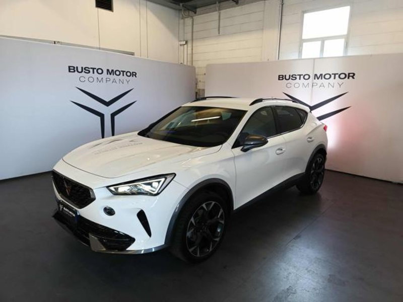 Cupra Formentor usata a Varese (3)