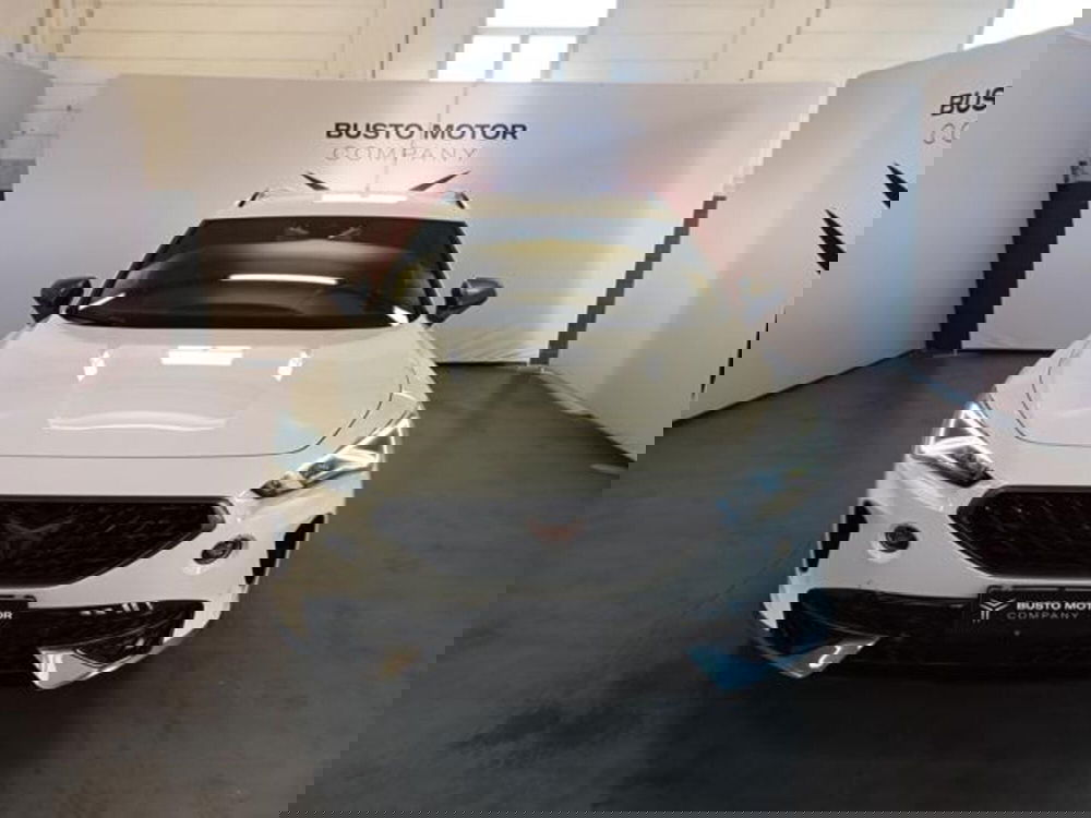 Cupra Formentor usata a Varese (2)