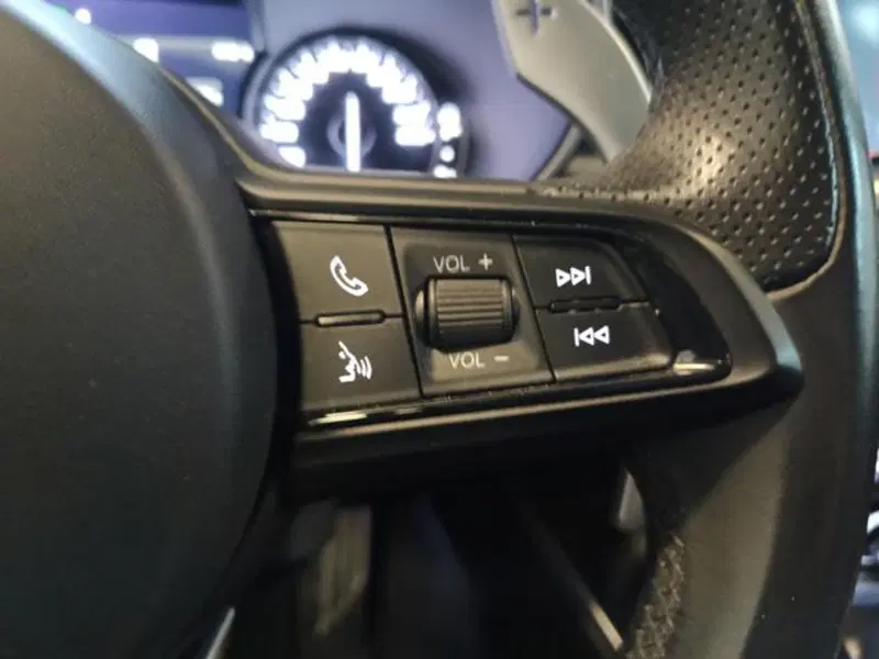 Alfa Romeo Stelvio usata a Varese (19)