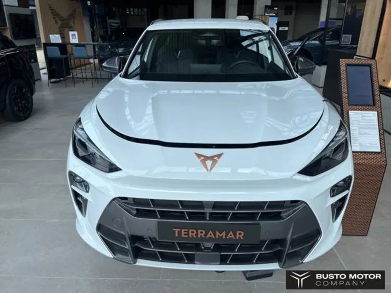 Cupra Terramar nuova a Varese (2)