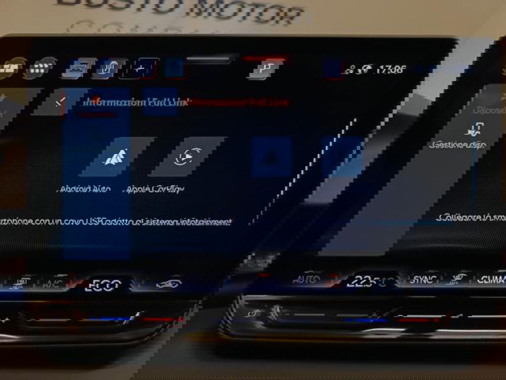 Cupra Terramar usata a Varese (14)