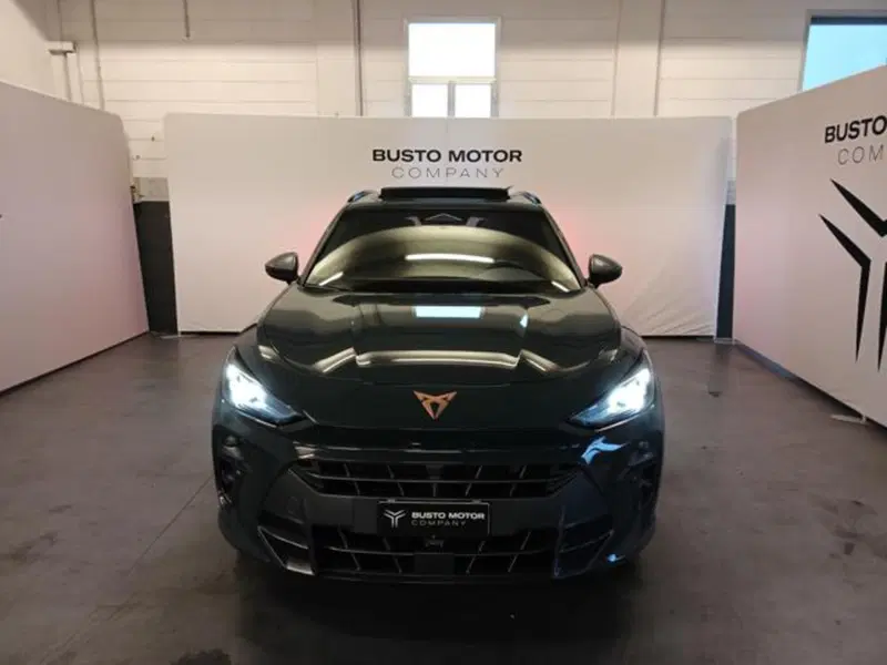 Cupra Terramar usata a Varese (2)