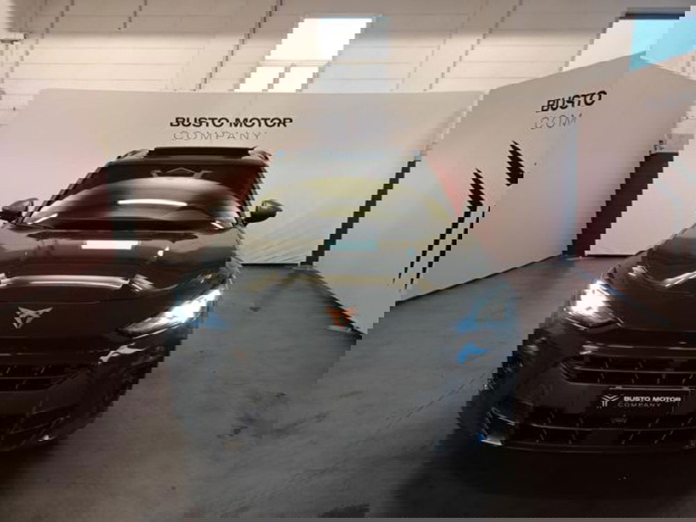 Cupra Terramar usata a Varese (2)