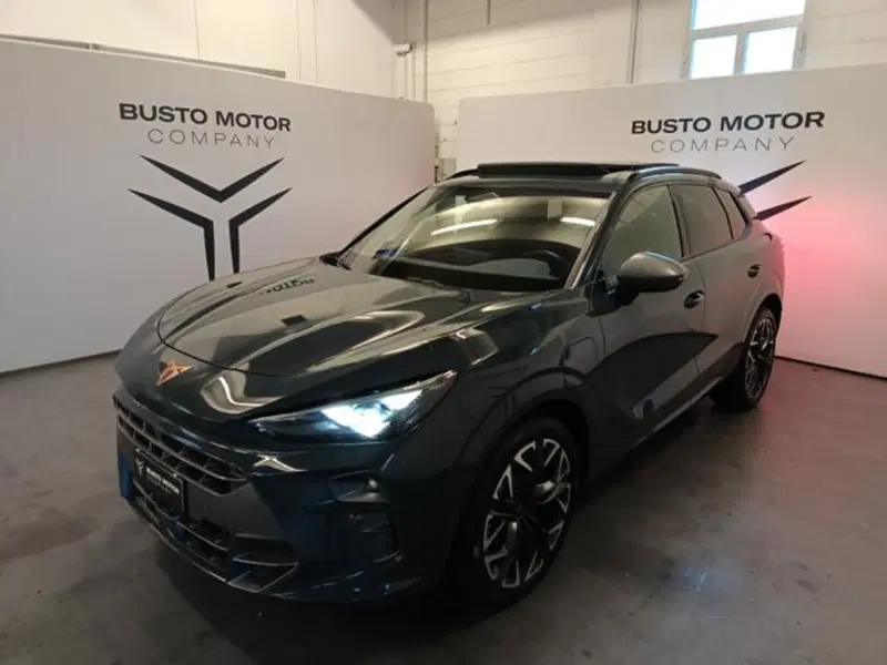 Cupra Terramar usata a Varese (3)