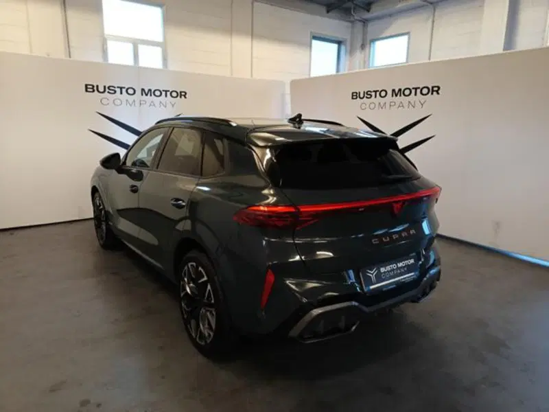 Cupra Terramar usata a Varese (4)