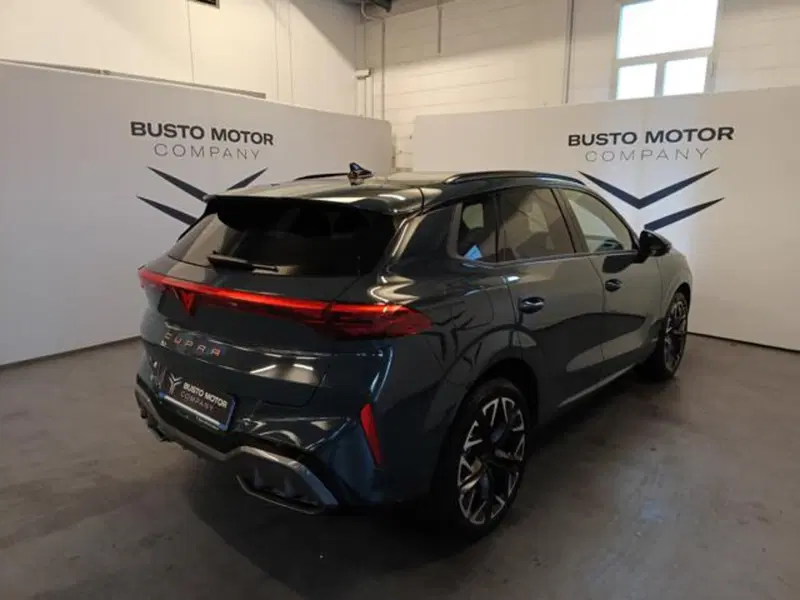 Cupra Terramar usata a Varese (6)