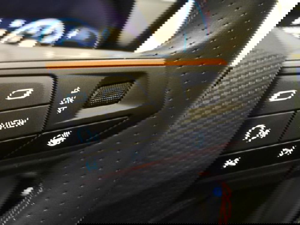 Cupra Formentor usata a Varese (16)