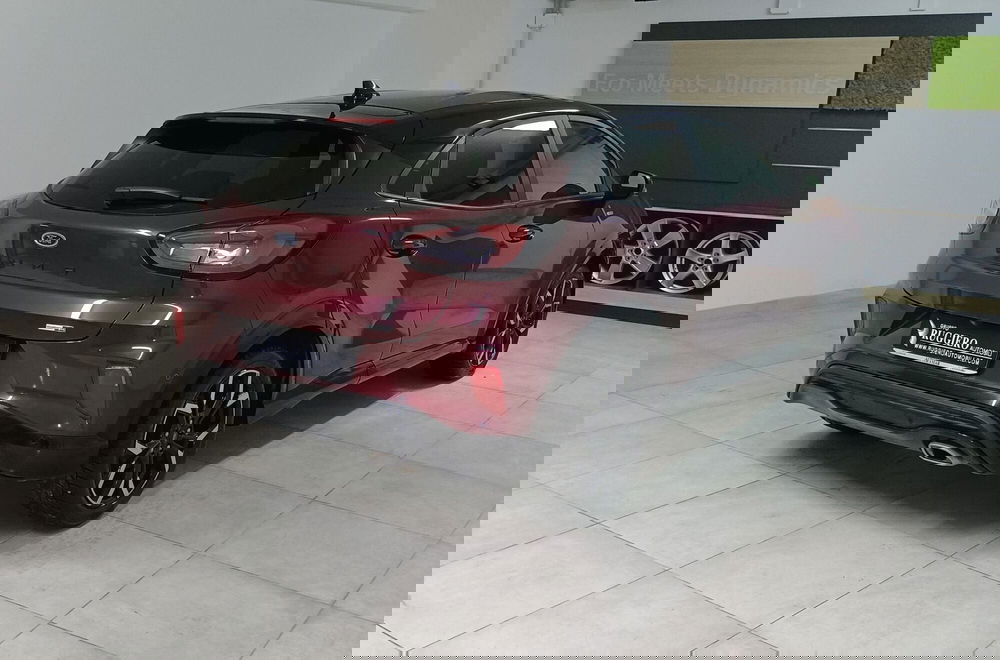 Ford Puma usata a Catanzaro (4)