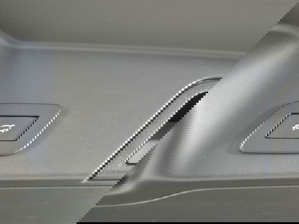 Land Rover Range Rover Evoque usata a Torino (17)