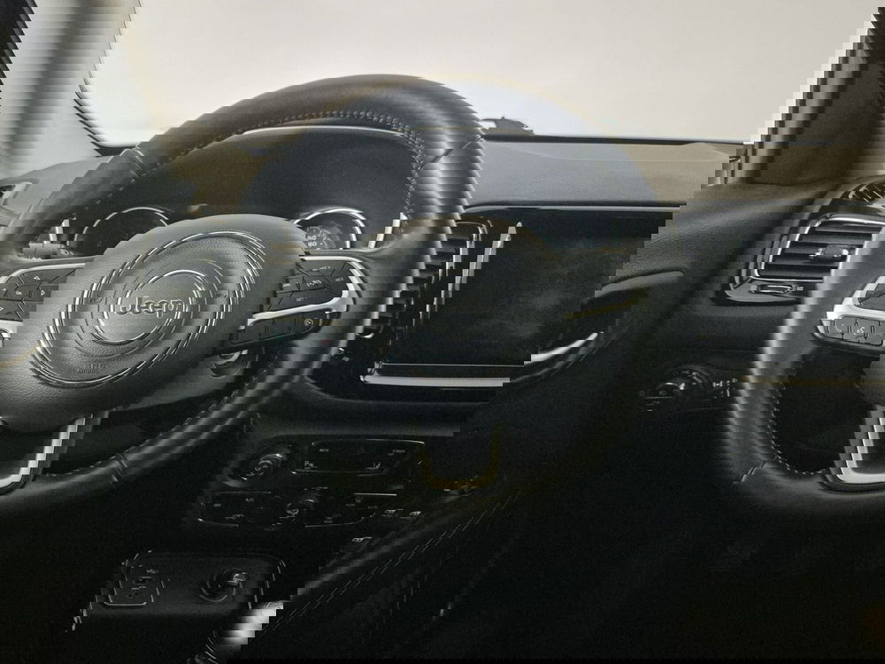 Jeep Compass usata a Torino (9)