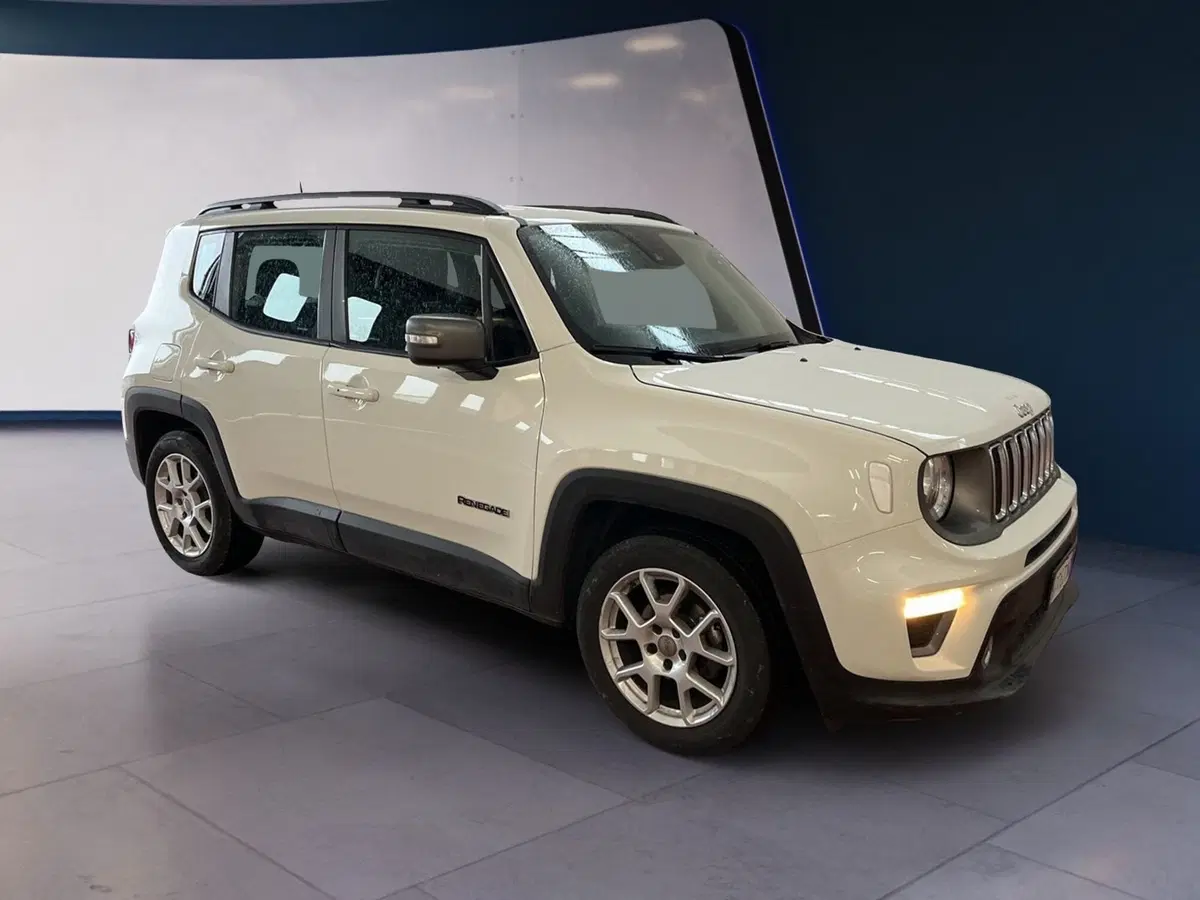Jeep Renegade usata a Torino (3)