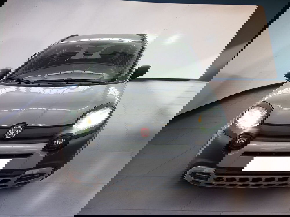 Fiat Panda usata a Torino