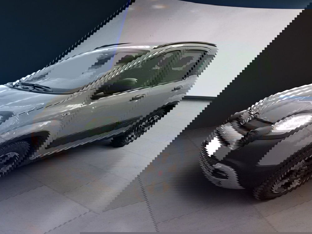 Fiat Panda usata a Torino (2)