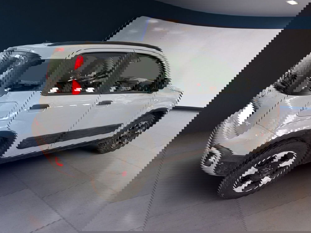 Fiat Panda usata a Torino (4)