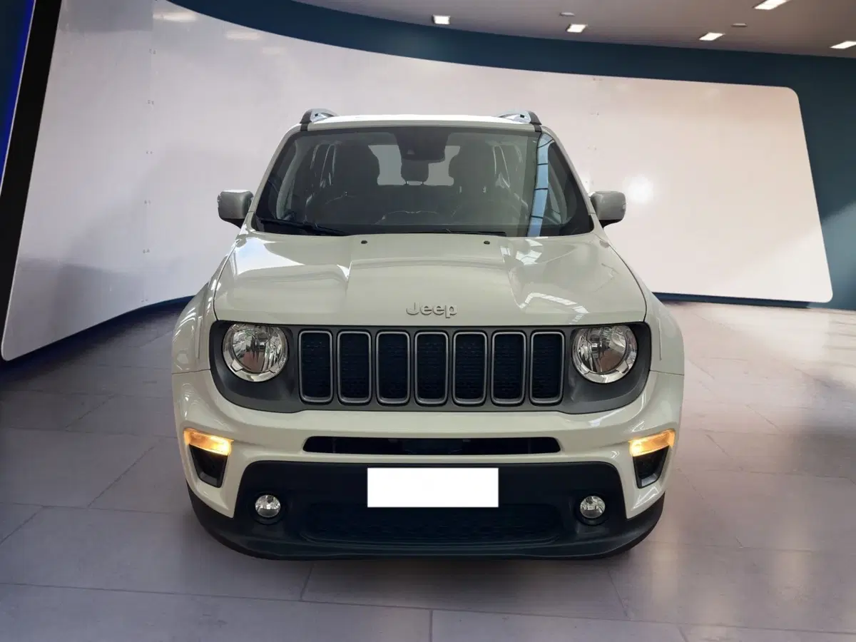 Jeep Renegade usata a Torino