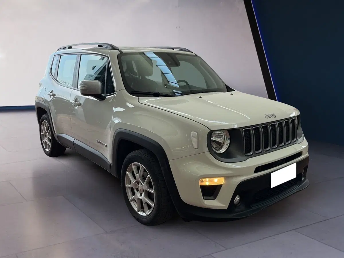 Jeep Renegade usata a Torino (2)