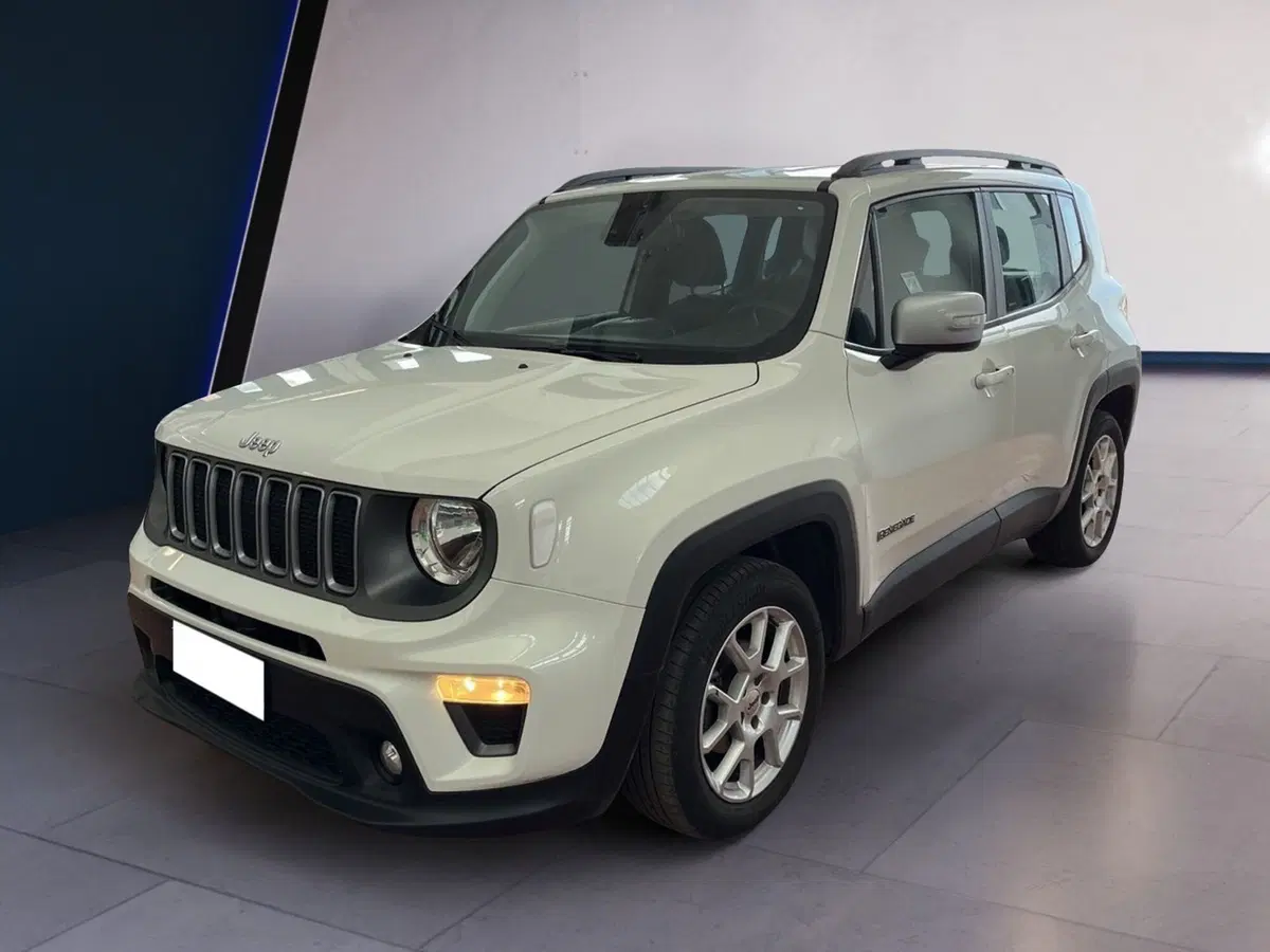 Jeep Renegade usata a Torino (3)