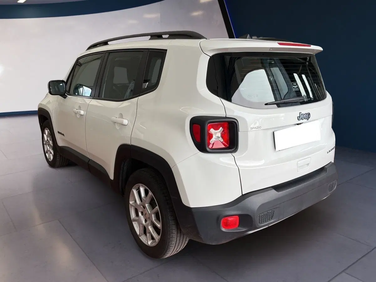 Jeep Renegade usata a Torino (4)