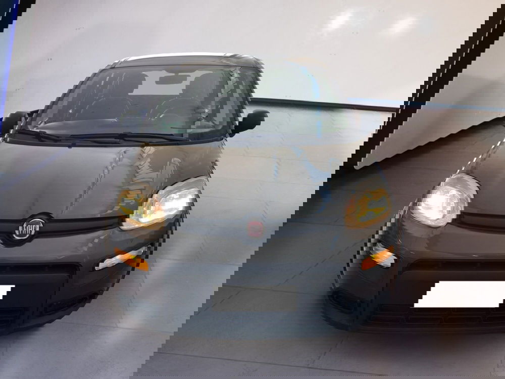 Fiat Panda Cross usata a Torino