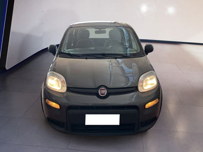 Fiat Panda Cross Cross 1.0 FireFly S&amp;S Hybrid del 2023 usata a Torino