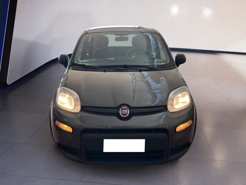 Fiat Panda Cross usata a Torino