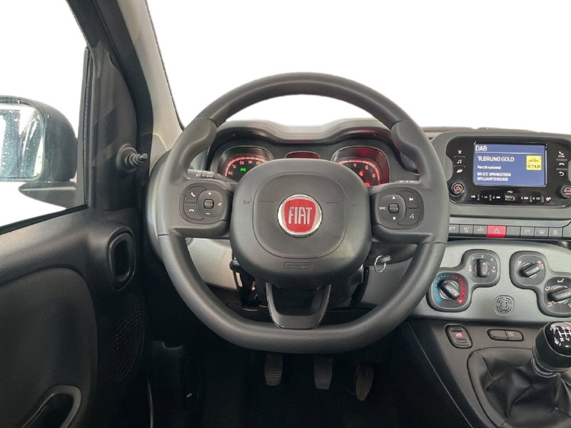Fiat Panda Cross usata a Torino (11)