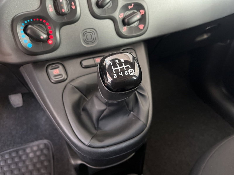 Fiat Panda Cross usata a Torino (12)