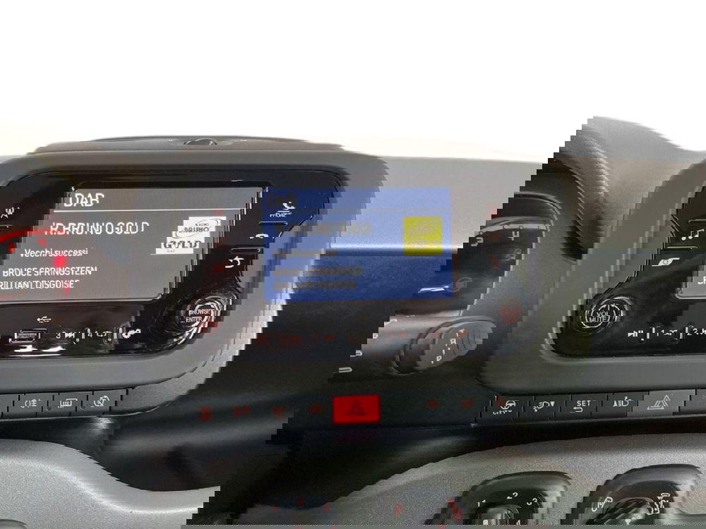 Fiat Panda Cross usata a Torino (13)