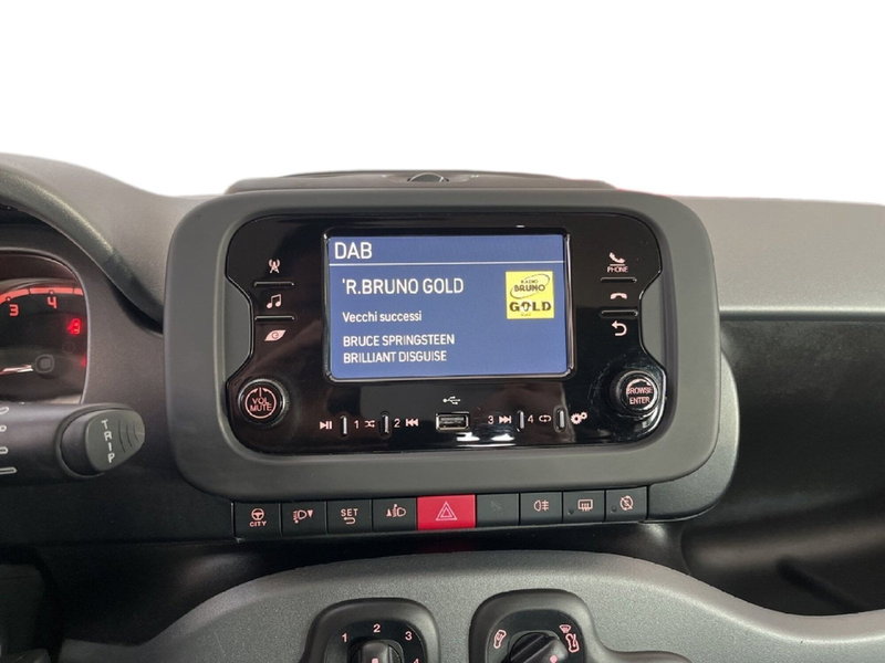 Fiat Panda Cross usata a Torino (13)