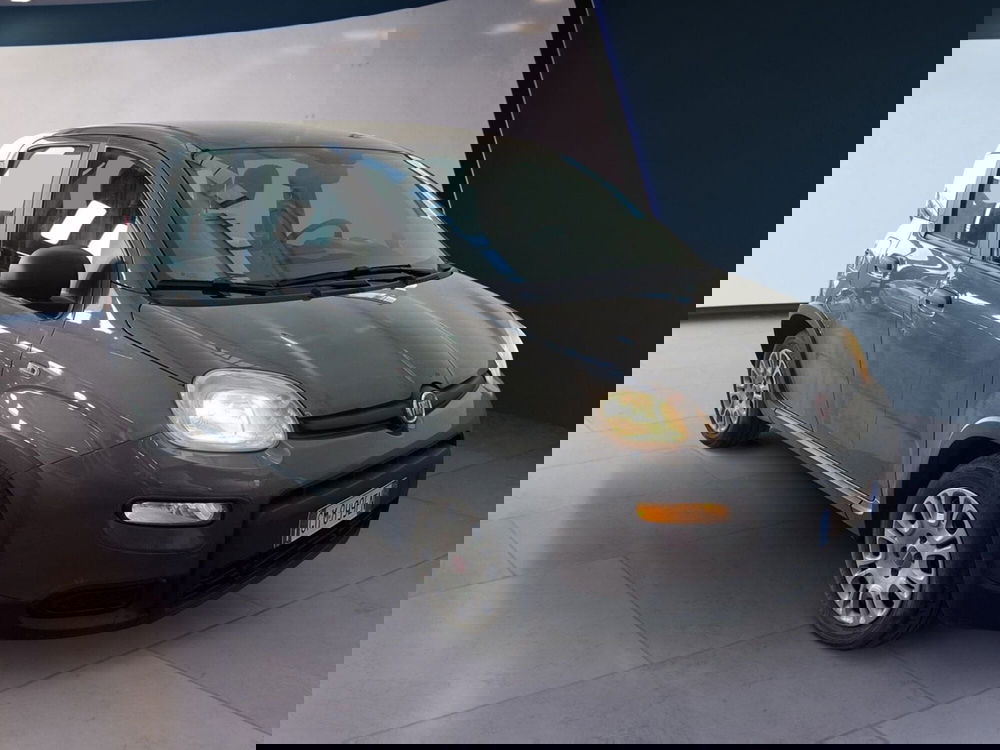 Fiat Panda Cross usata a Torino (2)