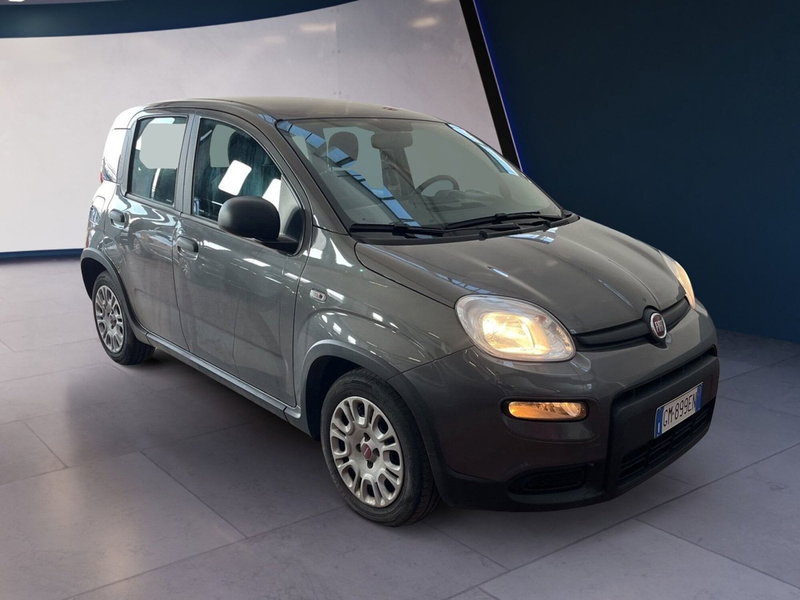Fiat Panda Cross usata a Torino (2)