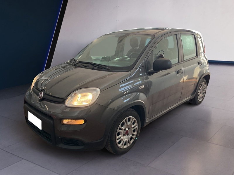 Fiat Panda Cross usata a Torino (3)