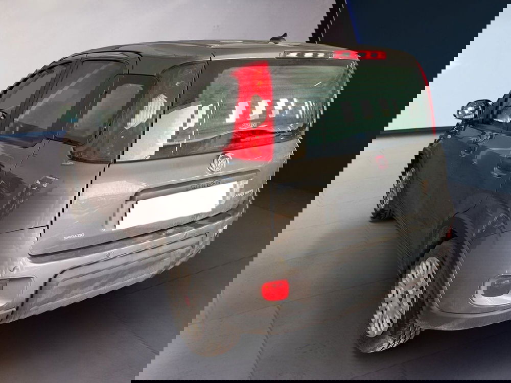 Fiat Panda Cross usata a Torino (4)