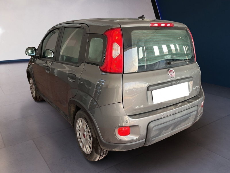 Fiat Panda Cross usata a Torino (4)