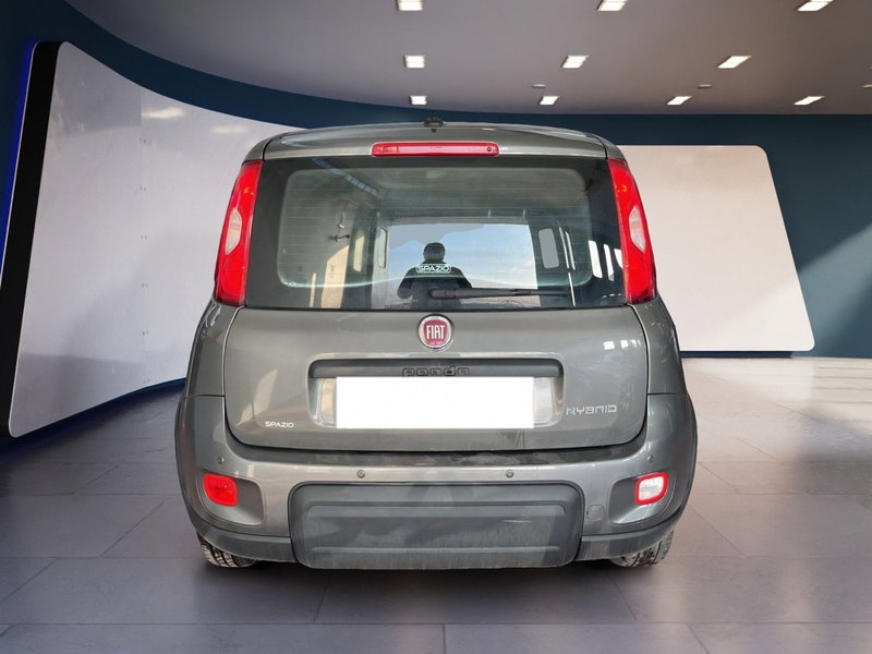 Fiat Panda Cross usata a Torino (5)
