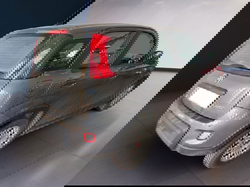 Fiat Panda Cross usata a Torino (6)