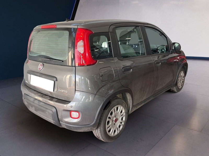Fiat Panda Cross usata a Torino (6)