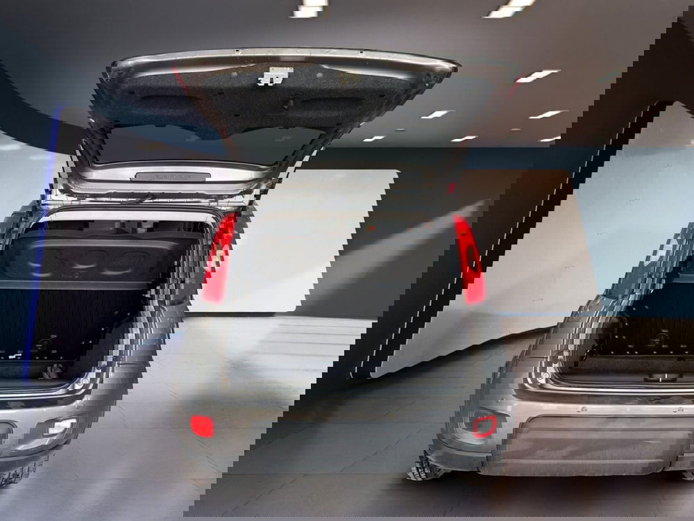 Fiat Panda Cross usata a Torino (7)