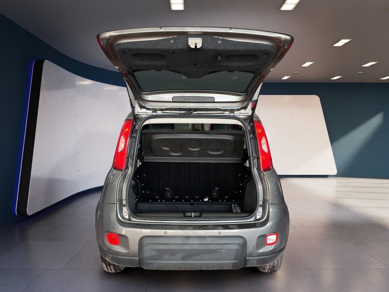 Fiat Panda Cross usata a Torino (7)