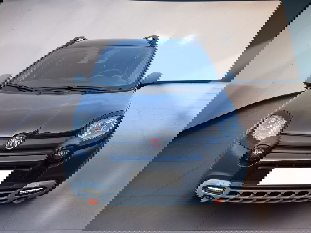 Fiat Panda Cross usata a Torino