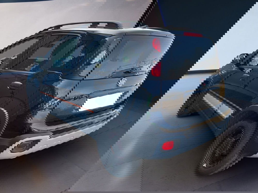 Fiat Panda Cross usata a Torino (4)