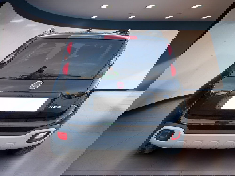 Fiat Panda Cross usata a Torino (5)